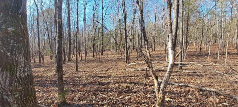 0 NW Piney Road Dickson TN 37055