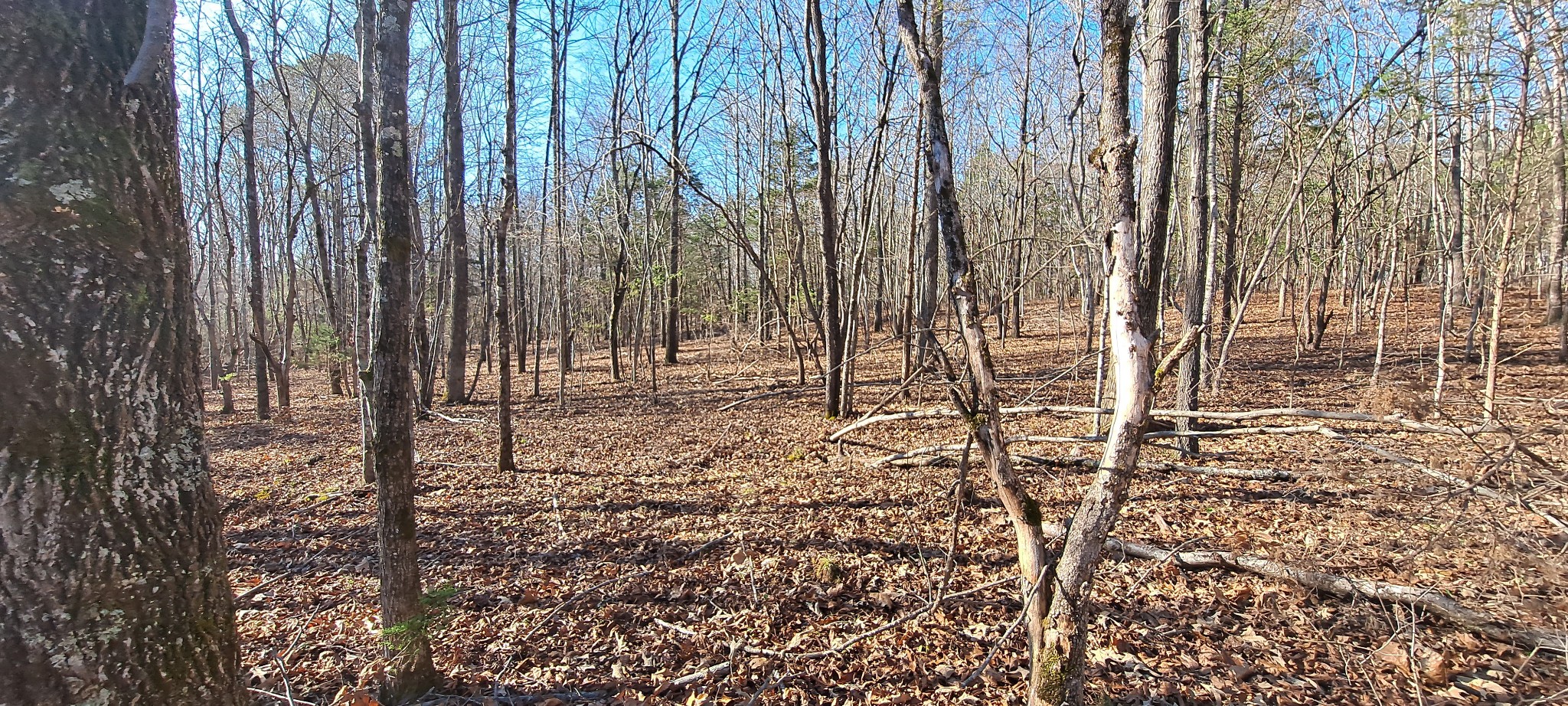 0 NW Piney Road Dickson TN 37055