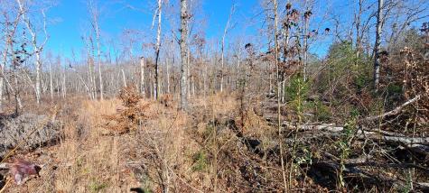 0 NW Piney Road Dickson TN 37055