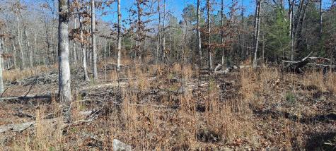 0 NW Piney Road Dickson TN 37055