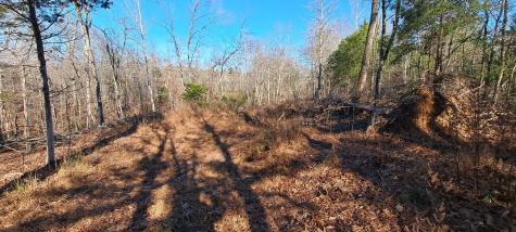 0 NW Piney Road Dickson TN 37055