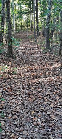 0 NW Piney Road Dickson TN 37055