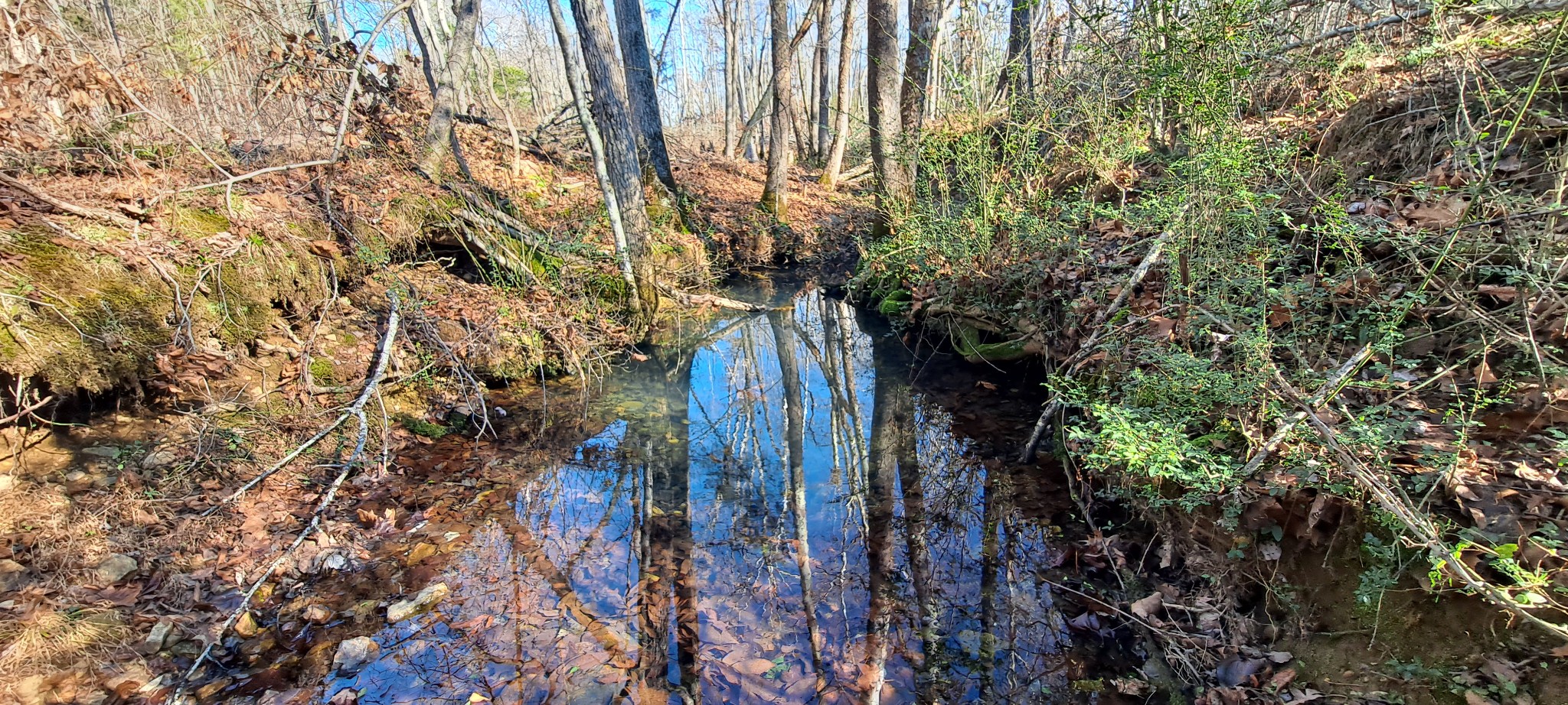 0 NW Piney Road Dickson TN 37055