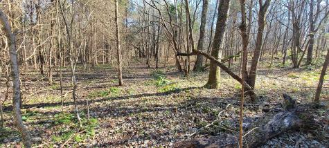 0 NW Piney Road Dickson TN 37055