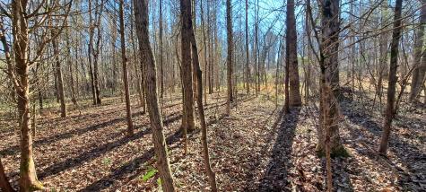0 NW Piney Road Dickson TN 37055