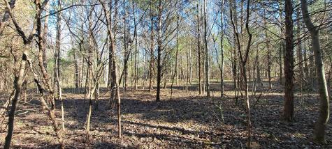 0 NW Piney Road Dickson TN 37055