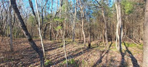 0 NW Piney Road Dickson TN 37055