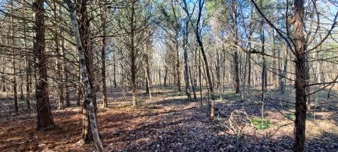 0 NW Piney Road Dickson TN 37055