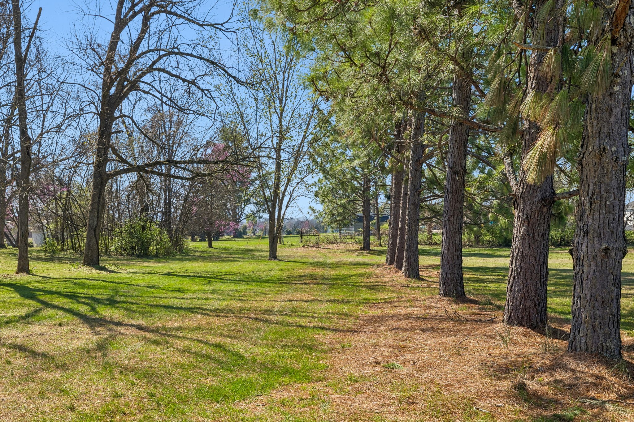 1929 Hickory Ridge Road Lebanon TN 37087