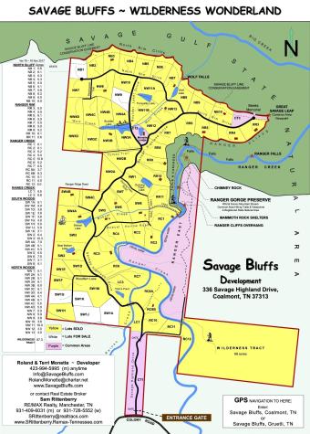 0 Woodfern Lane Coalmont TN 37313