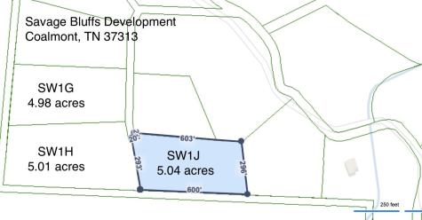 0 Woodfern Lane Coalmont TN 37313