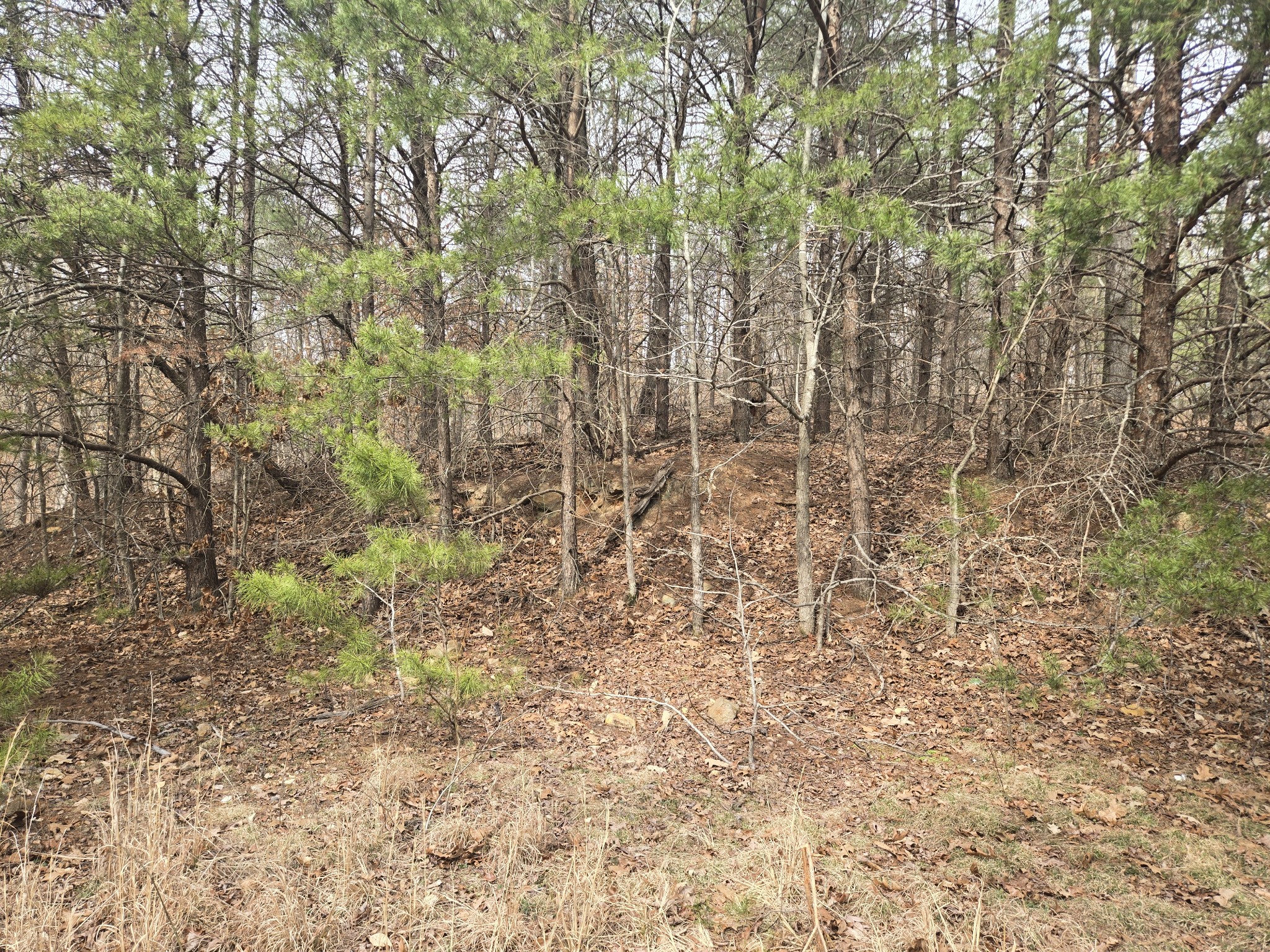 0 Cleburne Point Prince Phillip Waverly TN 37185