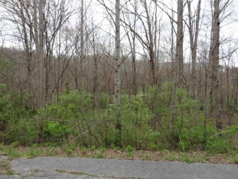 0 Eugene Court Crossville TN 38555