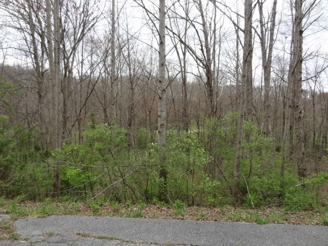 0 Eugene Court Crossville TN 38555