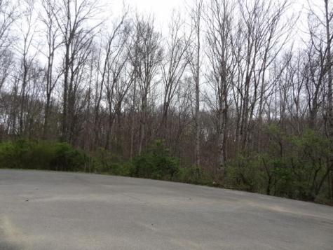 0 Eugene Court Crossville TN 38555