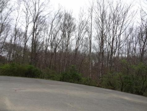 0 Eugene Court Crossville TN 38555