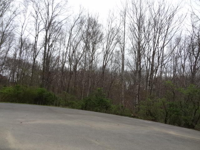 0 Eugene Court Crossville TN 38555
