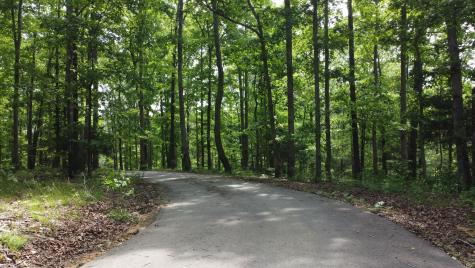 450 Lowe Branch Road Centerville TN 37033