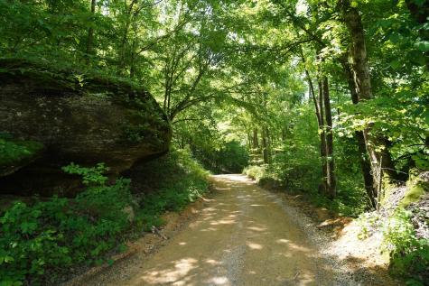 450 Lowe Branch Road Centerville TN 37033