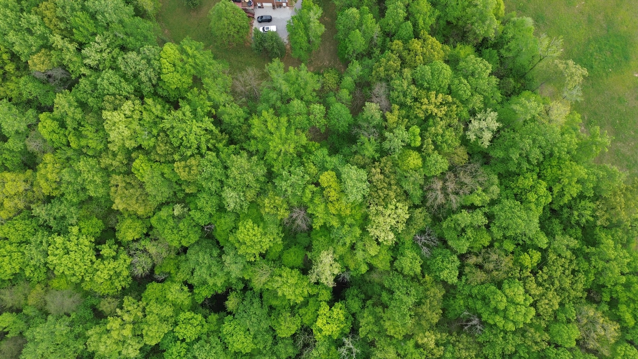 0 Jefferson Road Smithville TN 37166