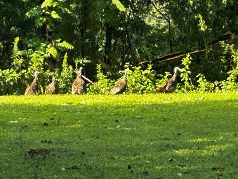 0 Duck Pond Road Sparta TN 38583