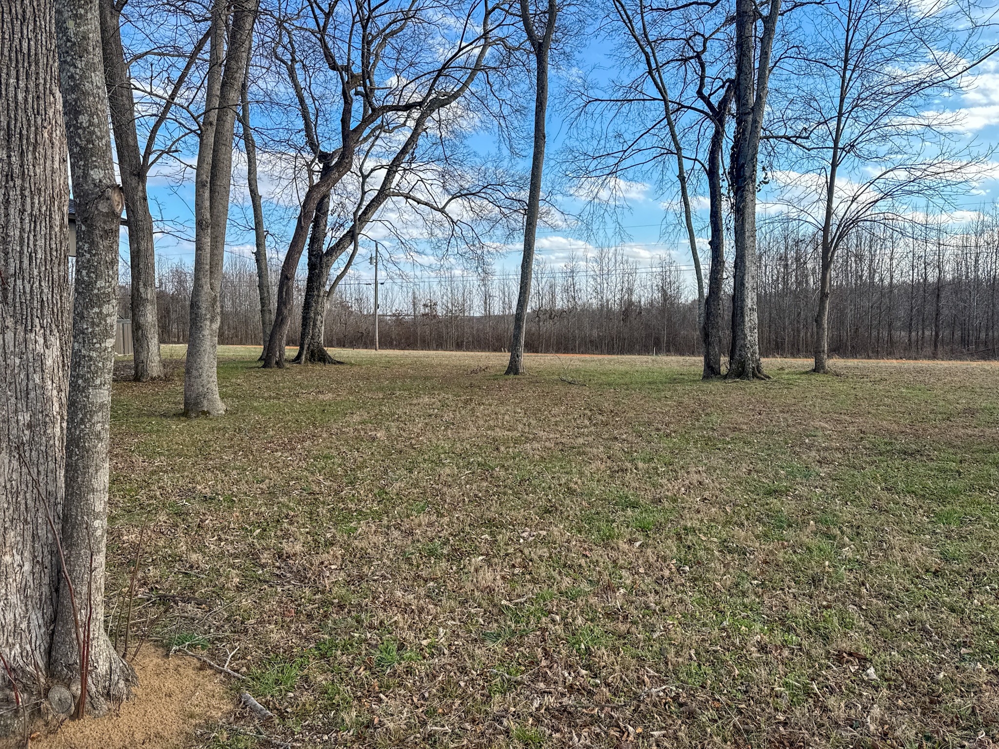 0 Colonel James Hardin Drive Clifton TN 38425