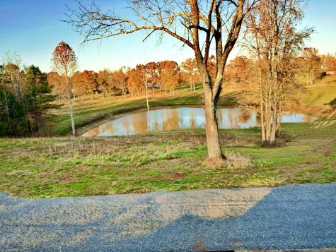 9461 Short Mountain Road Smithville TN 37166
