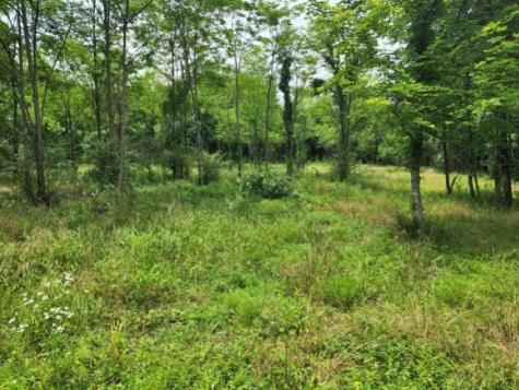 0 Stephens Road Columbia TN 38401