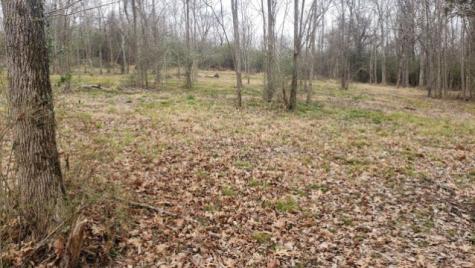 0 Stephens Road Columbia TN 38401