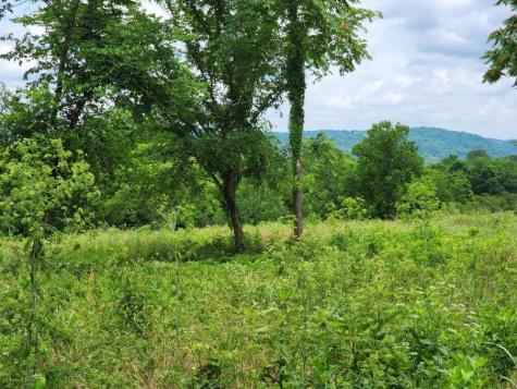 0 Stephens Road Columbia TN 38401