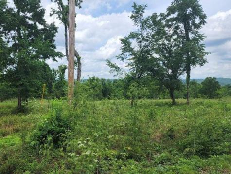 0 Stephens Road Columbia TN 38401