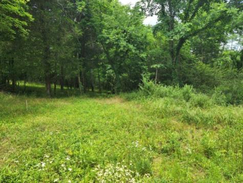 0 Stephens Road Columbia TN 38401