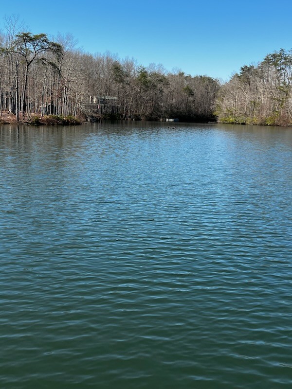 0 Crystal Point Monterey TN 38574