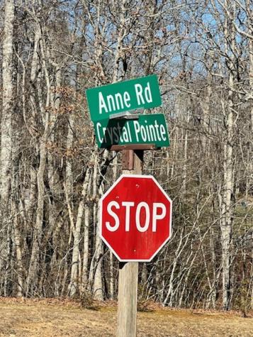 0 Crystal Point Monterey TN 38574