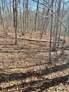 0 Crystal Point Monterey TN 38574