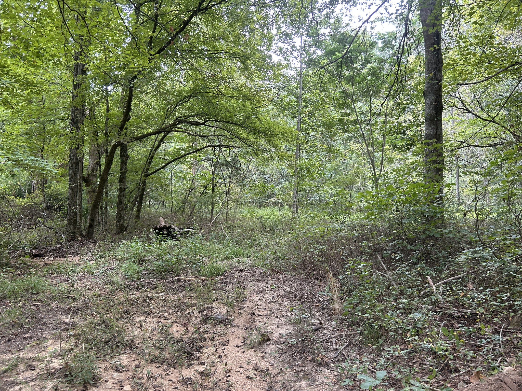 7111 Wink Parker Road Lyles TN 37098