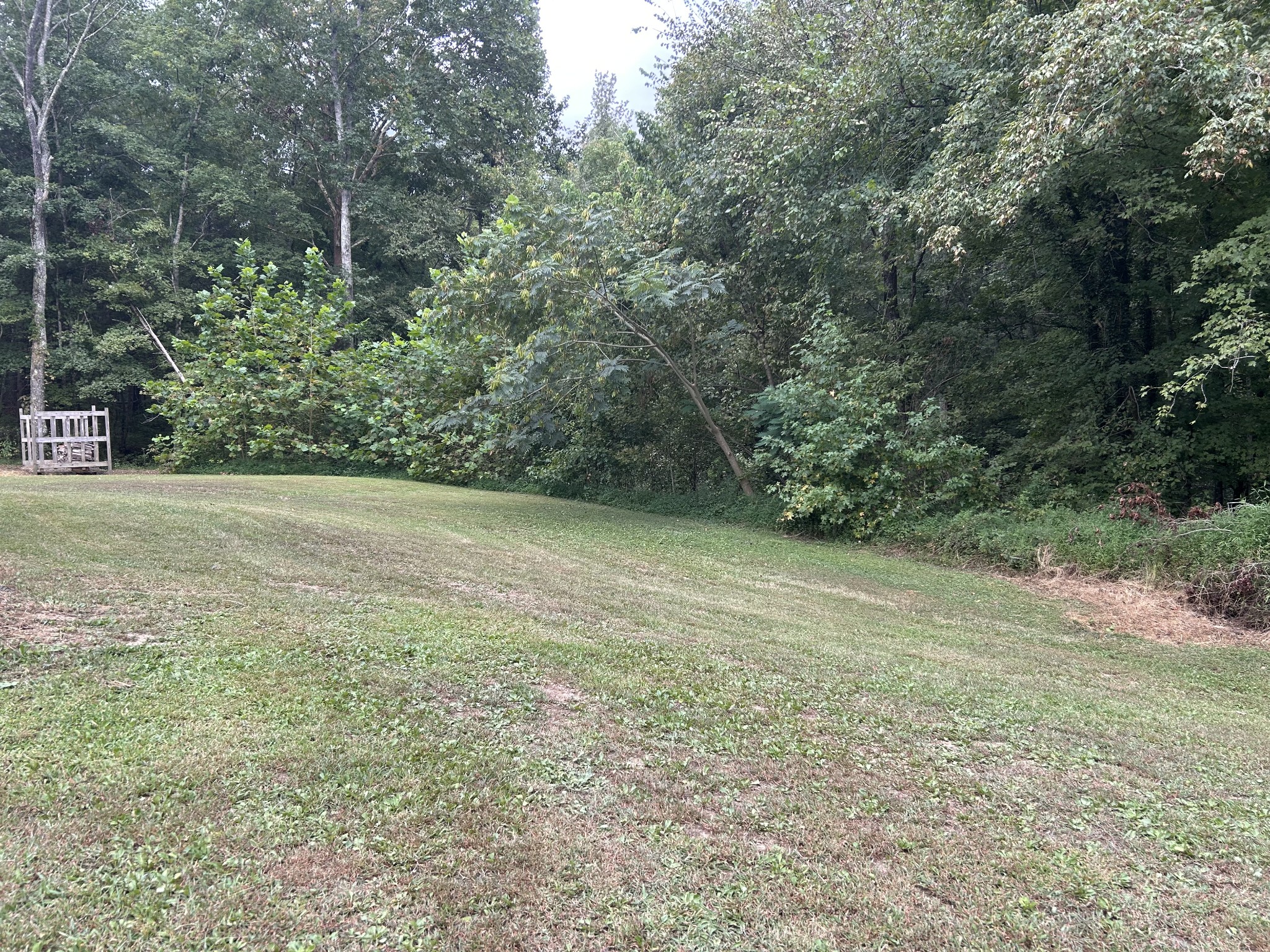 7111 Wink Parker Road Lyles TN 37098