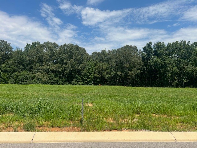 5 Summer Lake Winchester TN 37398