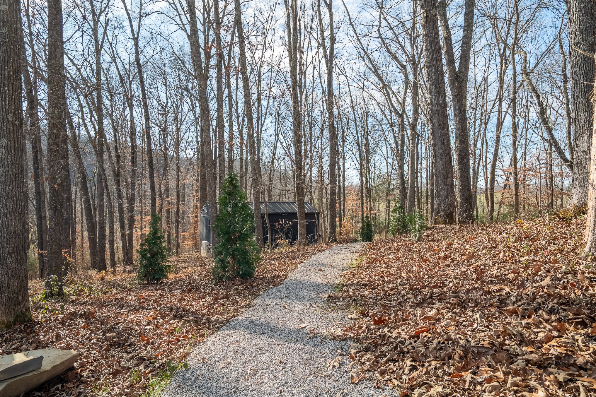 1545 Blue Springs Road Sparta TN 38583