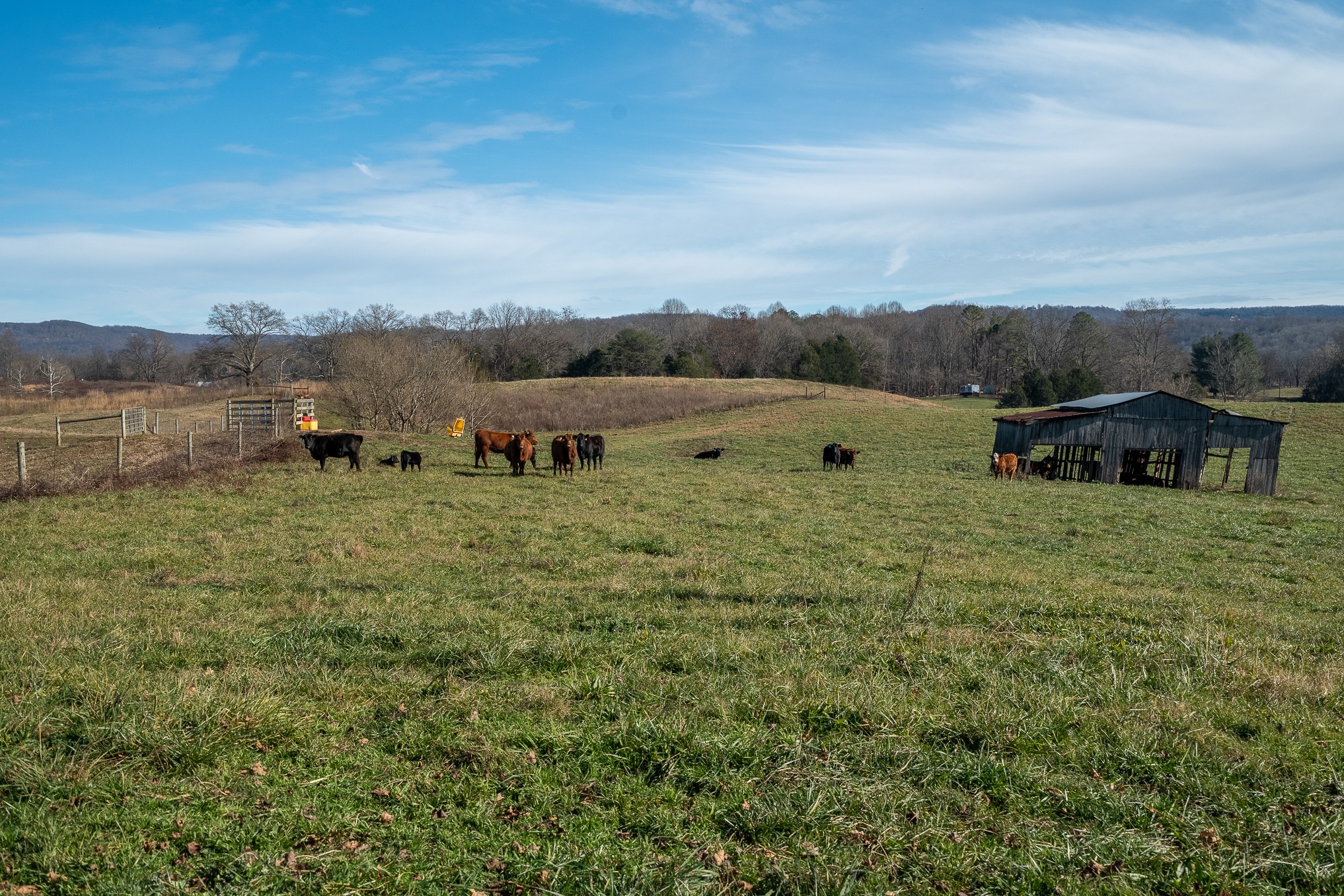 1545 Blue Springs Road Sparta TN 38583