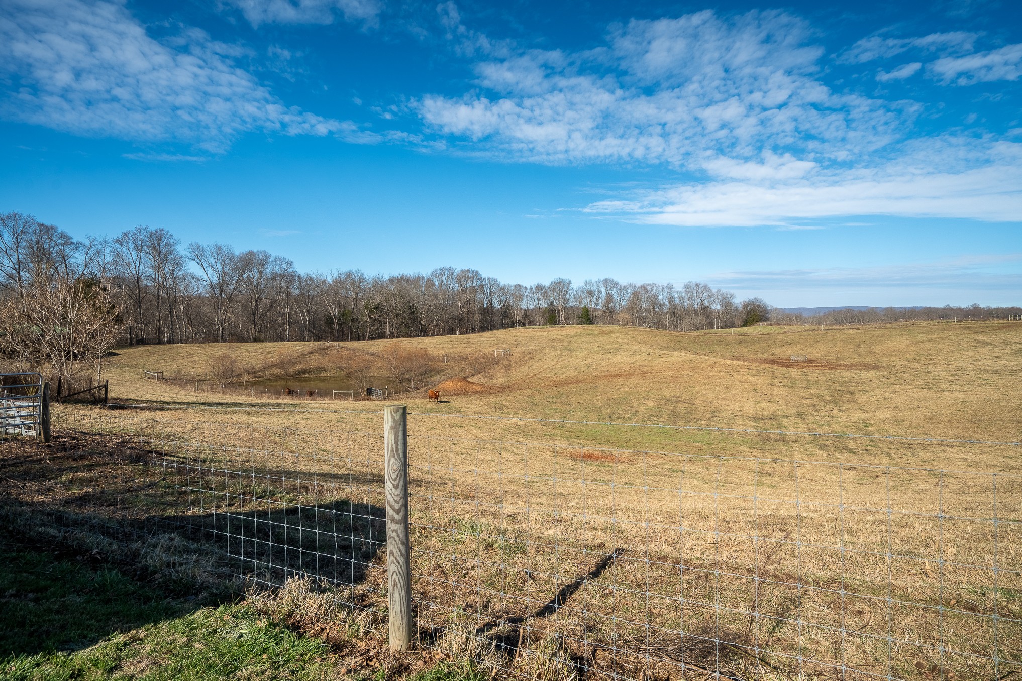 1545 Blue Springs Road Sparta TN 38583