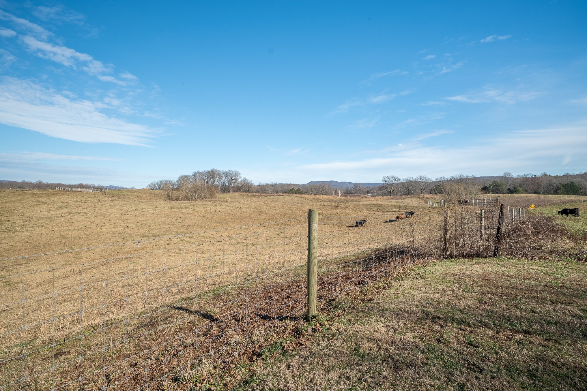 1545 Blue Springs Road Sparta TN 38583