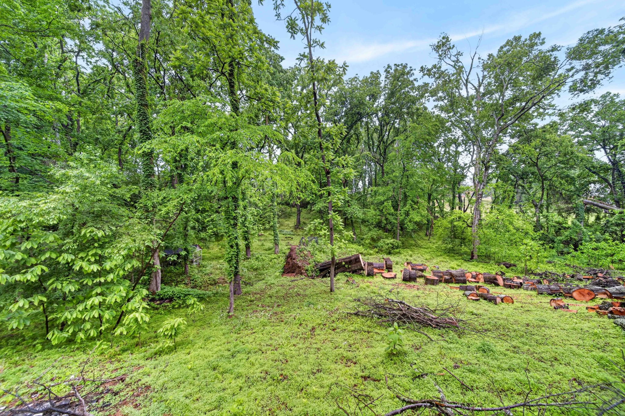 5 Wyndsor Court Hendersonville TN 37075