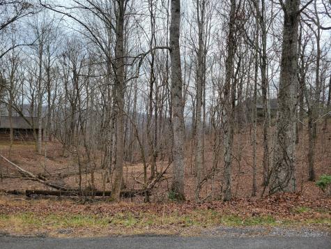 23 Laurel Lake Drive Monteagle TN 37356