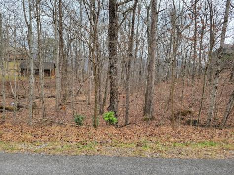 23 Laurel Lake Drive Monteagle TN 37356