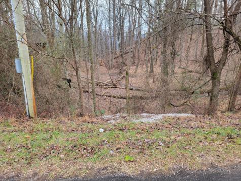 23 Laurel Lake Drive Monteagle TN 37356