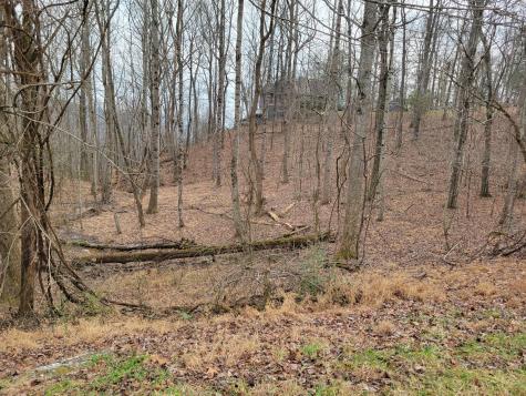 23 Laurel Lake Drive Monteagle TN 37356