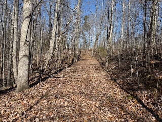 3 South Pittsburg Mountain South Pittsburg TN 37380