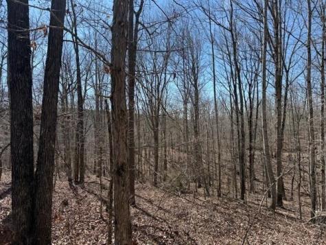 3 South Pittsburg Mountain South Pittsburg TN 37380