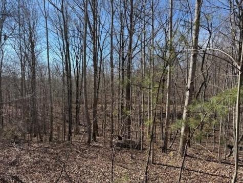 3 South Pittsburg Mountain South Pittsburg TN 37380